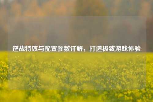 逆战特效与配置参数详解,打造极致游戏体验