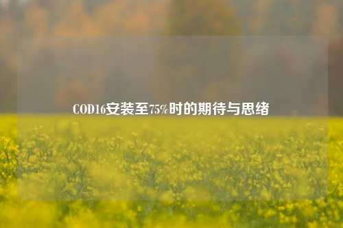 COD16安装至75%时的期待与思绪