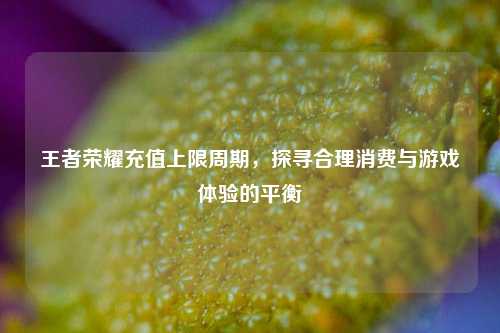 王者荣耀充值上限周期,探寻合理消费与游戏体验的平衡