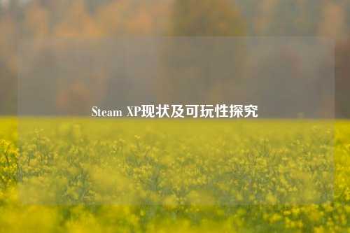 Steam XP现状及可玩性探究