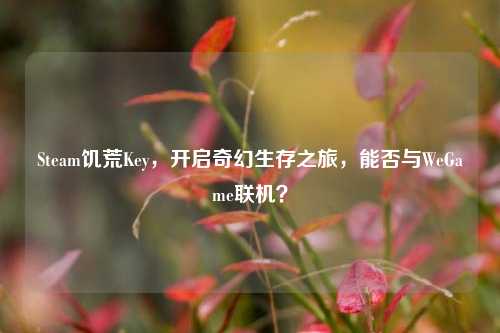 Steam饥荒Key,开启奇幻生存之旅,能否与WeGame联机?