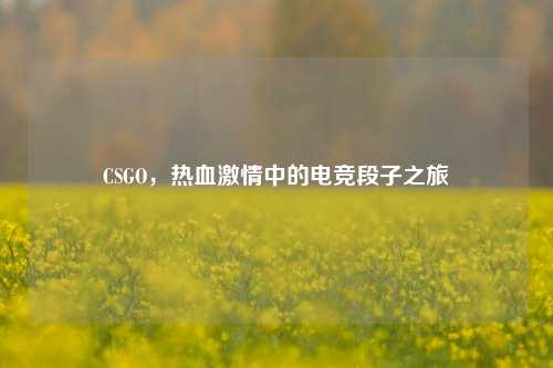 CSGO,热血***中的电竞段子之旅