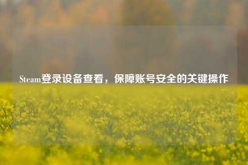 Steam登录设备查看,保障账号安全的关键操作