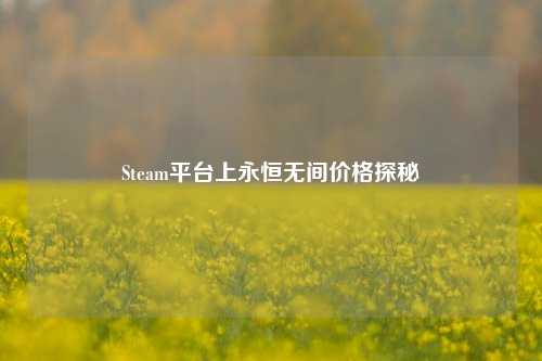 Steam平台上永恒无间价格探秘