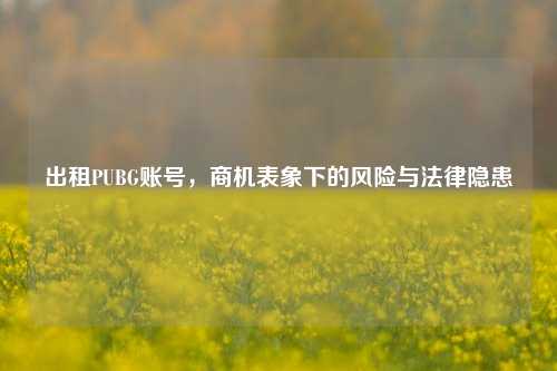 出租PUBG账号,商机表象下的风险与法律隐患