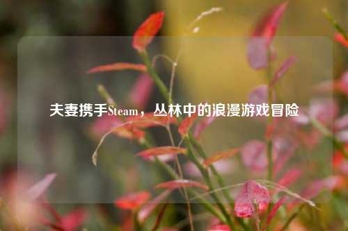 夫妻携手Steam,丛林中的浪漫游戏冒险