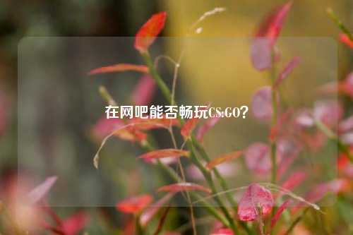 在网吧能否畅玩CS:GO?