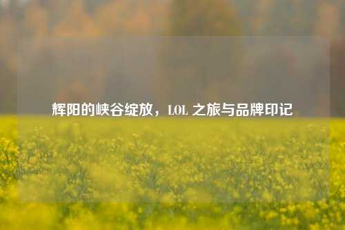 辉阳的峡谷绽放，LOL 之旅与品牌印记