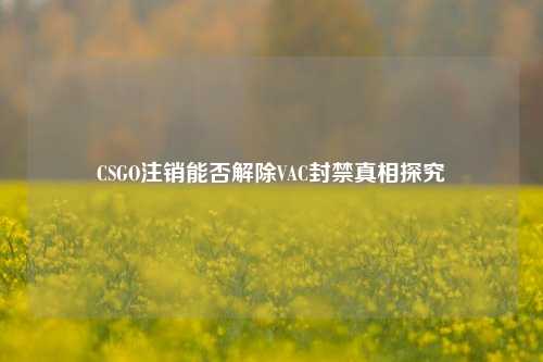 CSGO注销能否解除VAC封禁真相探究