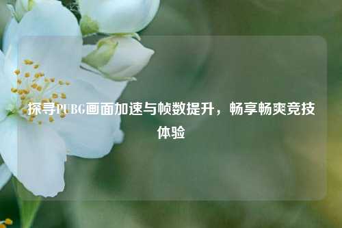 探寻PUBG画面加速与帧数提升,畅享畅爽竞技体验