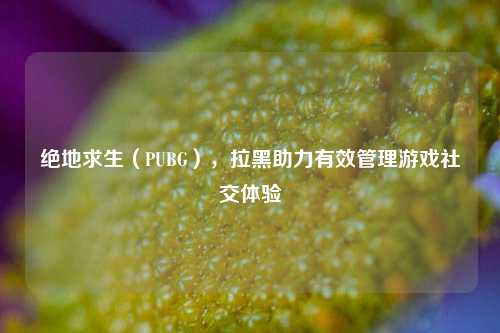 绝地求生(PUBG),拉黑助力有效管理游戏社交体验