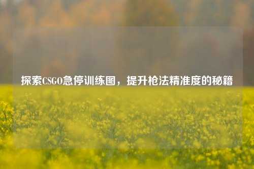 探索CSGO急停训练图,提升枪法精准度的秘籍