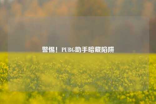 警惕!PUBG助手暗藏陷阱
