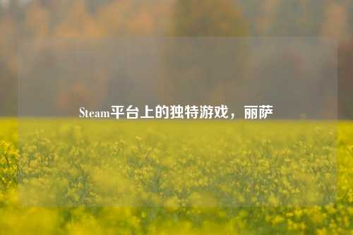 Steam平台上的独特游戏,丽萨
