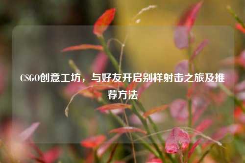 CSGO创意工坊,与好友开启别样射击之旅及推荐 ***