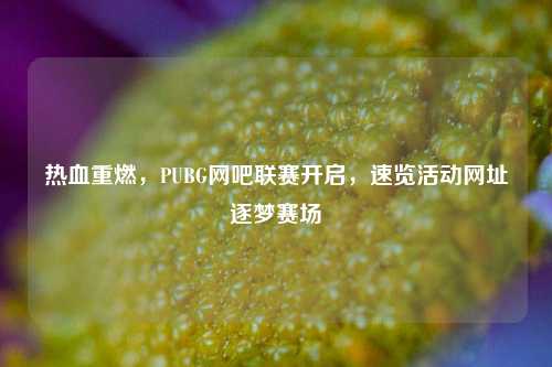 热血重燃,PUBG网吧联赛开启,速览活动网址逐梦赛场