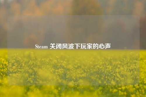 Steam 关闭风波下玩家的心声