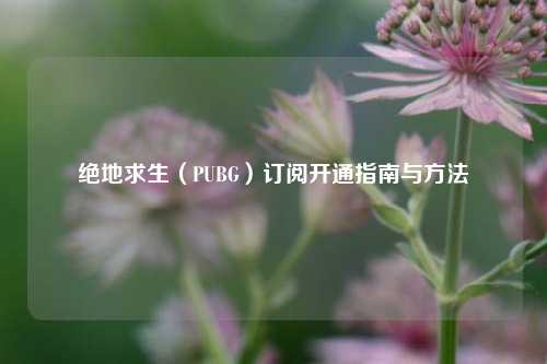 绝地求生(PUBG)订阅开通指南与 ***