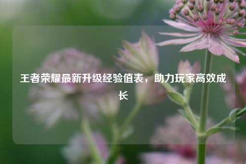 王者荣耀最新升级经验值表,助力玩家高效成长
