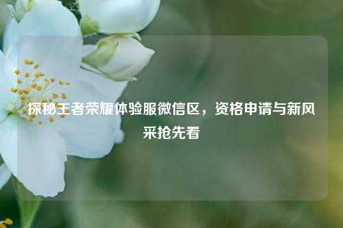 探秘王者荣耀体验服微信区,资格申请与新风采抢先看