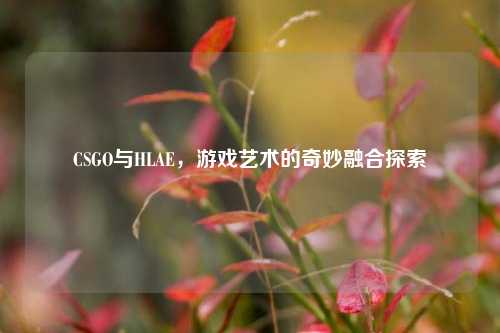 CSGO与HLAE,游戏艺术的奇妙融合探索