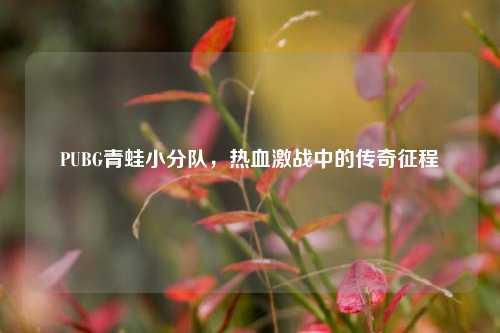 PUBG青蛙小分队，热血激战中的传奇征程