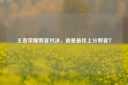 王者荣耀刺客对决,谁是更佳上分刺客?