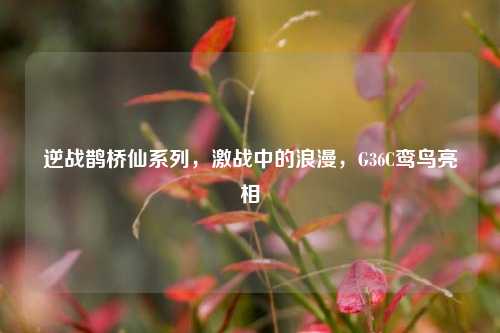 逆战鹊桥仙系列,激战中的浪漫,G36C鸾鸟亮相