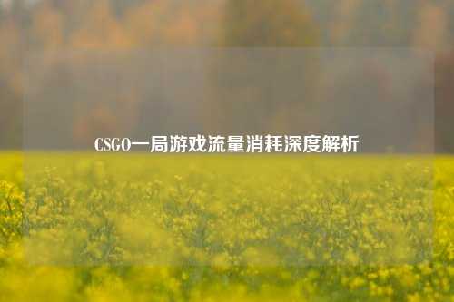 CSGO一局游戏流量消耗深度解析