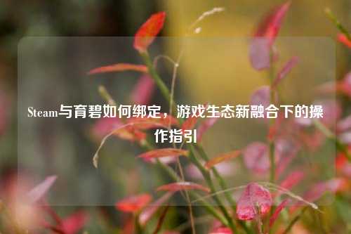 Steam与育碧如何绑定，游戏生态新融合下的操作指引
