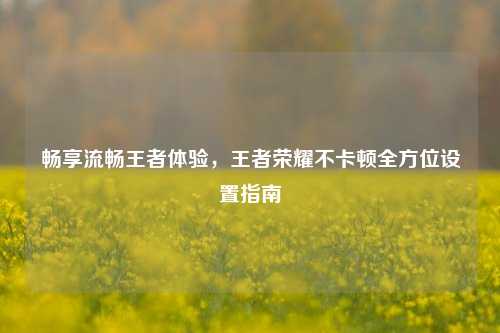 畅享流畅王者体验,王者荣耀不卡顿全方位设置指南