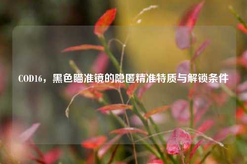 COD16,黑色瞄准镜的隐匿精准特质与解锁条件