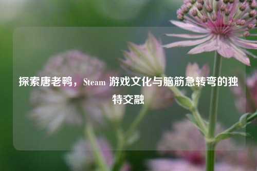探索唐老鸭,Steam 游戏文化与脑筋急转弯的独特交融