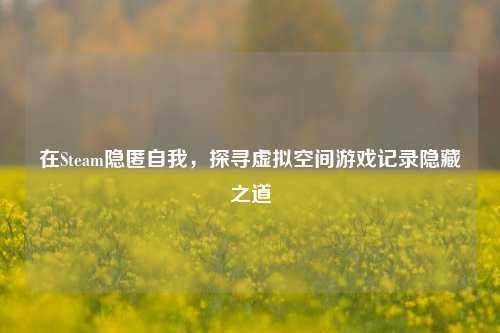 在Steam隐匿自我,探寻虚拟空间游戏记录隐藏之道
