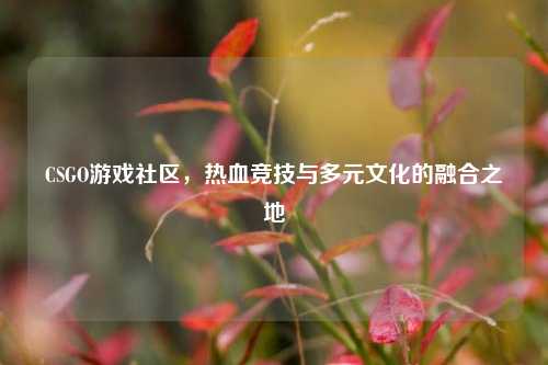 CSGO游戏社区,热血竞技与多元文化的融合之地