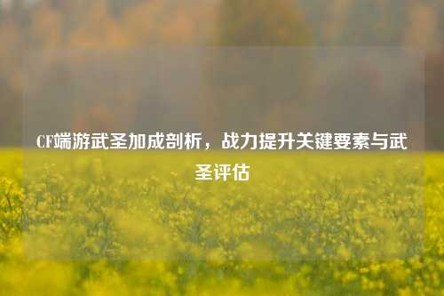 CF端游武圣加成剖析,战力提升关键要素与武圣评估
