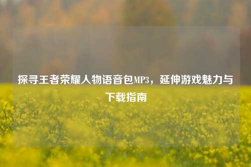 探寻王者荣耀人物语音包MP3,延伸游戏魅力与下载指南