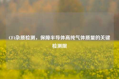 CF4杂质检测,保障半导体高纯气体质量的关键检测限