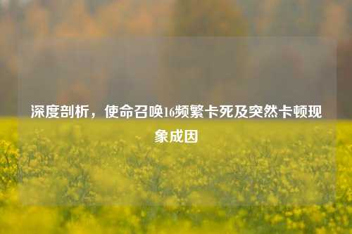 深度剖析,使命召唤16频繁卡死及突然卡顿现象成因