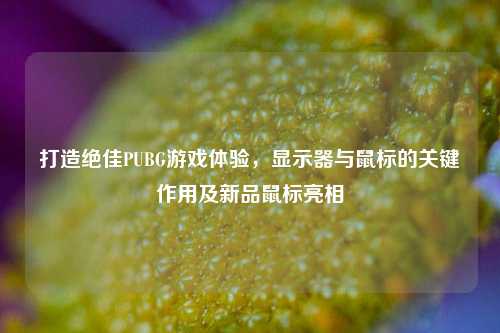 打造绝佳PUBG游戏体验,显示器与鼠标的关键作用及新品鼠标亮相