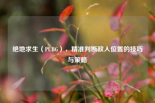 绝地求生(PUBG),精准判断敌人位置的技巧与策略