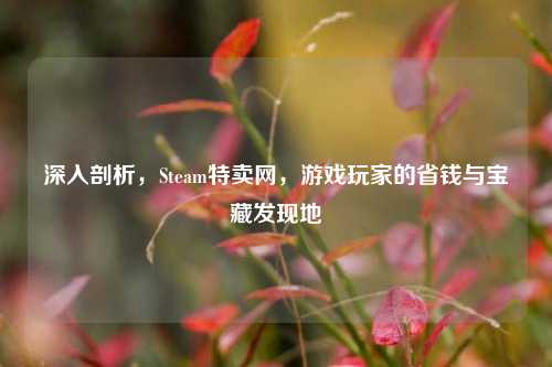 深入剖析,Steam特卖网,游戏玩家的省钱与宝藏发现地