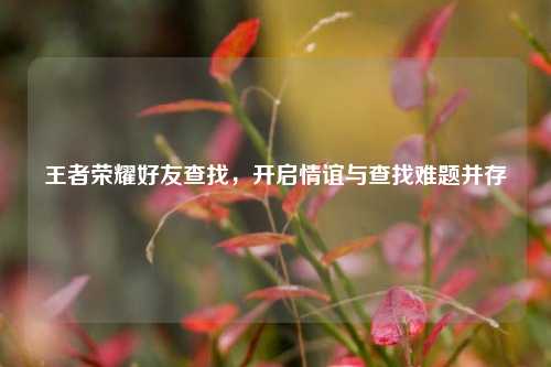 王者荣耀好友查找,开启情谊与查找难题并存