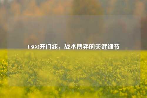 CSGO开门线,战术博弈的关键细节
