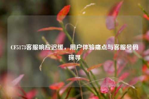 CF5173 *** 响应迟缓,用户体验痛点与 *** 号码探寻