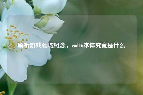 解析游戏领域概念,cod16本体究竟是什么
