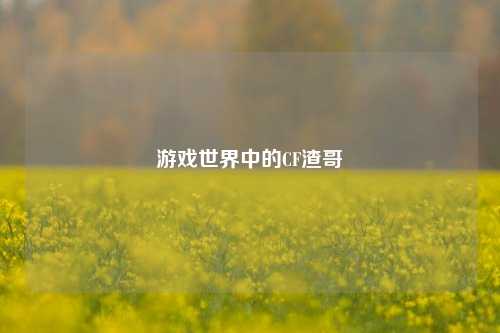 游戏世界中的CF渣哥