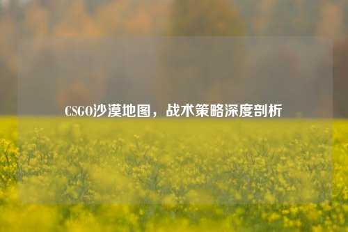 CSGO沙漠地图,战术策略深度剖析