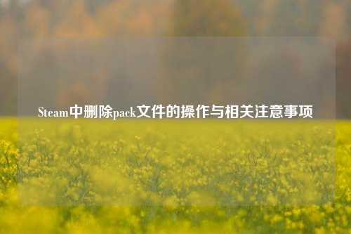 Steam中删除pack文件的操作与相关注意事项