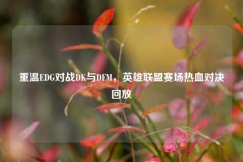 重温EDG对战DK与DFM,英雄联盟赛场热血对决回放
